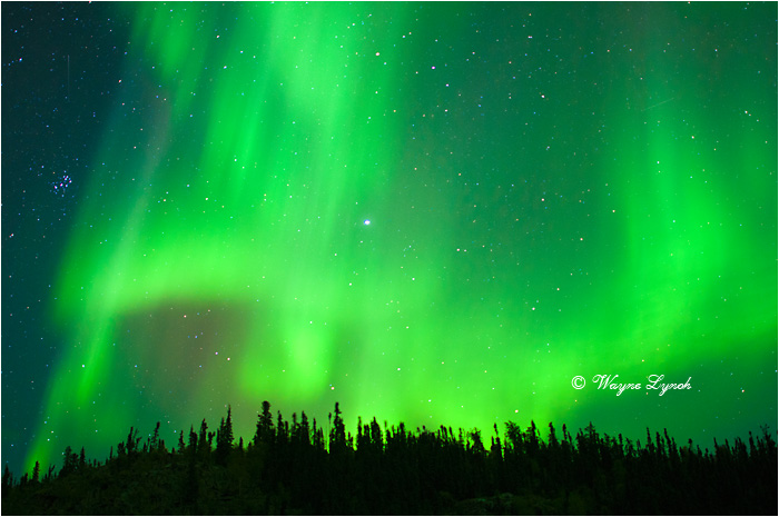 Aurora Borealis by Dr. Wayne Lynch &copy;